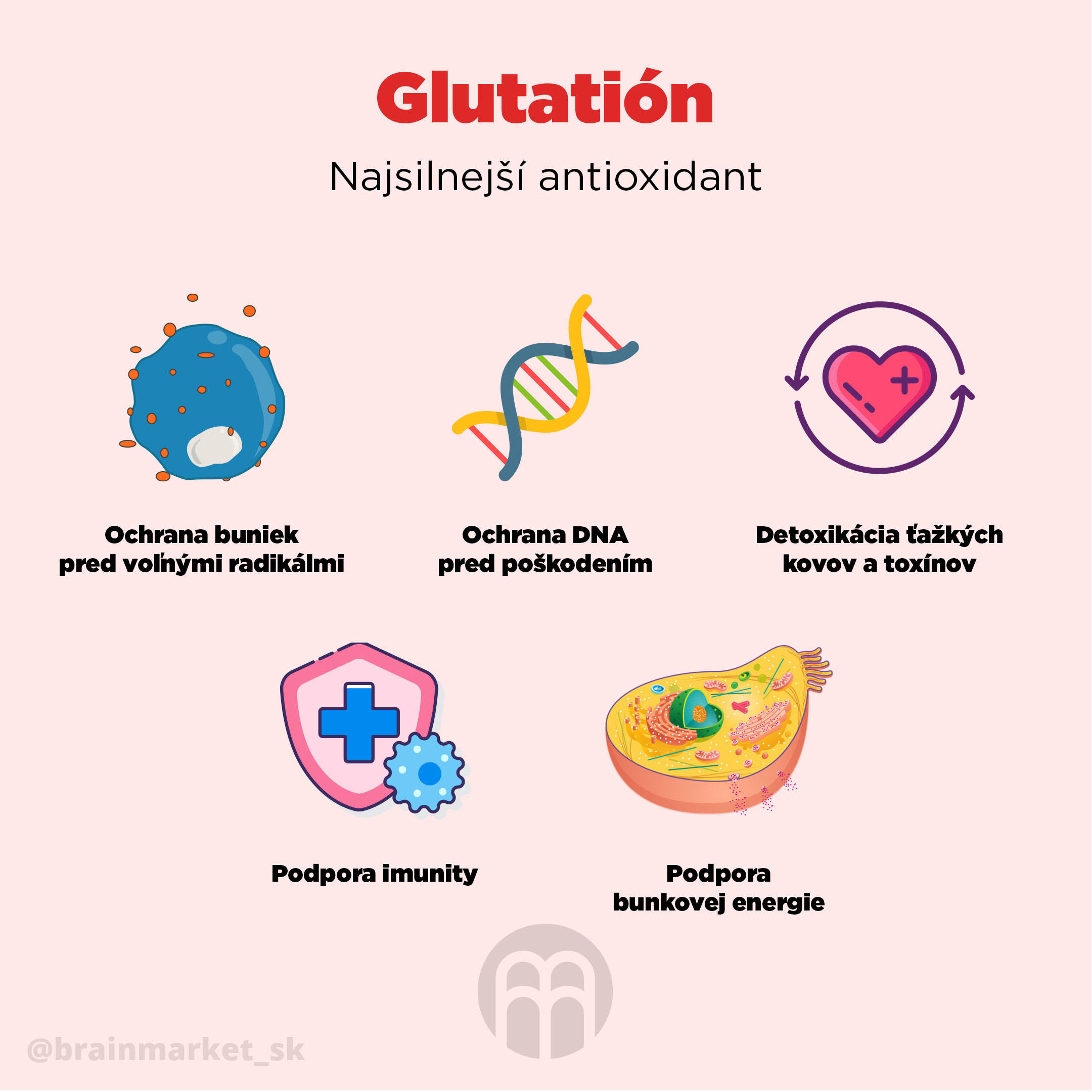 glutation_infografika_brainmarket_sk